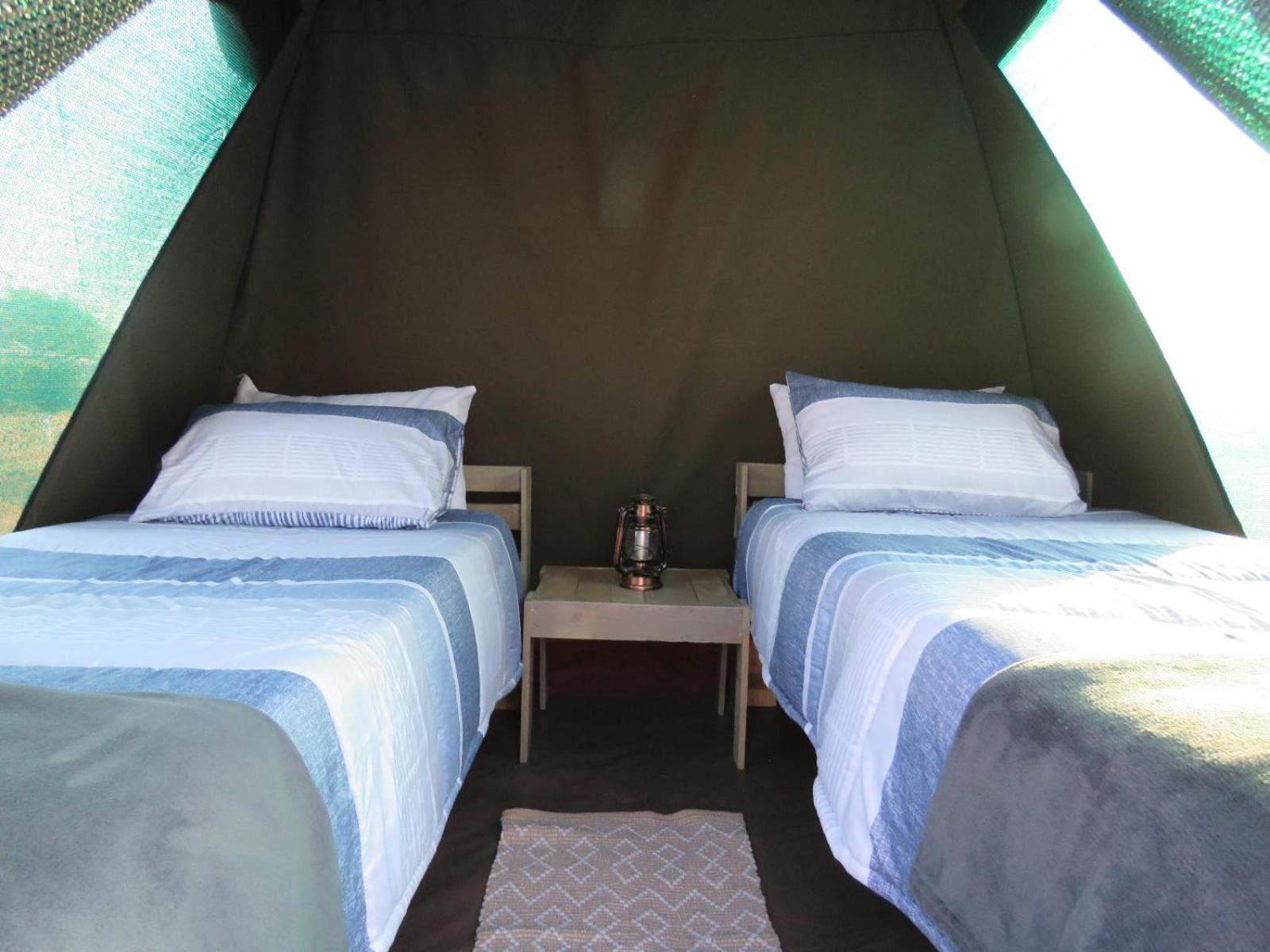 Hotel Tropic Of Capricorn Guest Farm Rehoboth Zimmer foto
